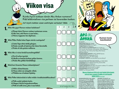 Viikon visa