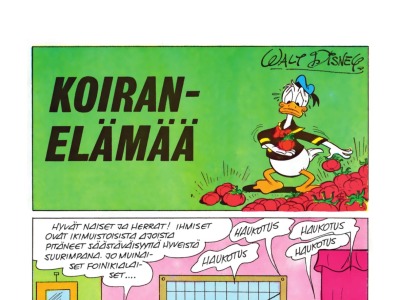 Koiranelämää