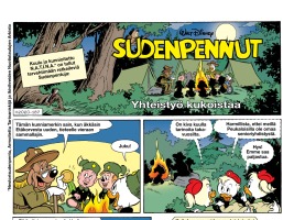 Yhteistyö kukoistaa image