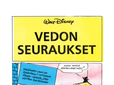 Vedon seuraukset