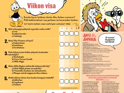 Viikon visa