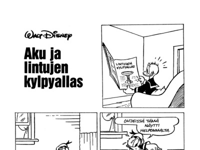 Aku ja lintujen kylpyallas