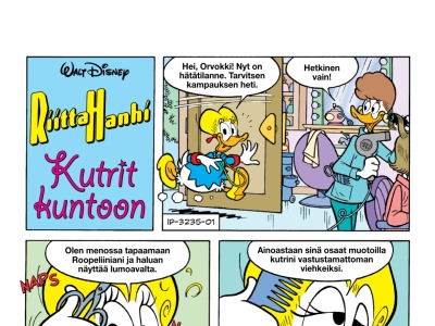 Kutrit kuntoon