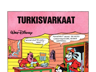 25734 Turkisvarkaat