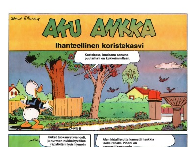 Ihanteellinen koristekasvi