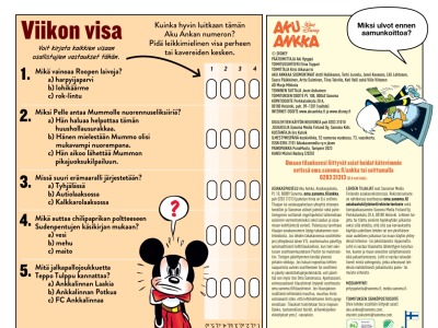 35872 Viikon visa