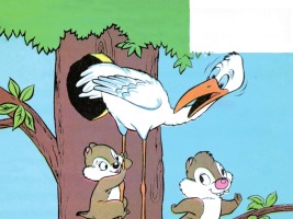 Miten tehdä tyttö pillua Squirt