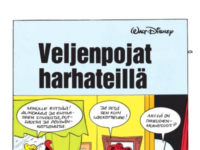 26096 Veljenpojat harhateillä