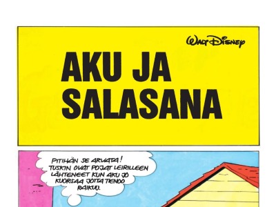 Aku ja salasana