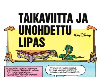 Taikaviitta ja unohdettu lipas