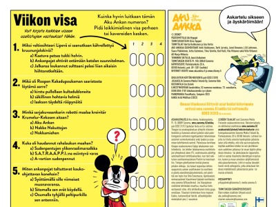 36231 Viikon visa