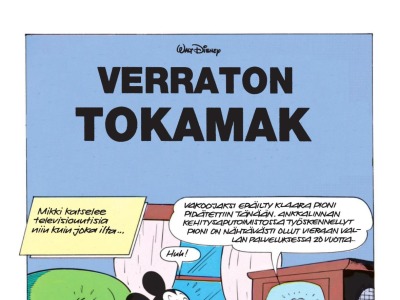 26271 Verraton tokamak