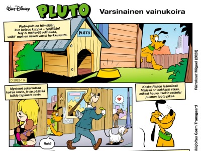 36412 Varsinainen vainukoira