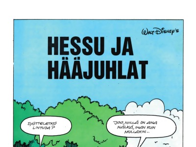 Hessu ja hääjuhlat