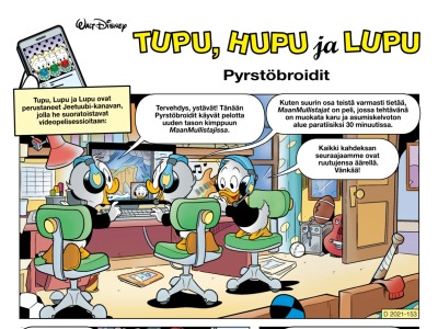 Pyrstöbroidit