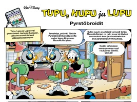 Pyrstöbroidit image