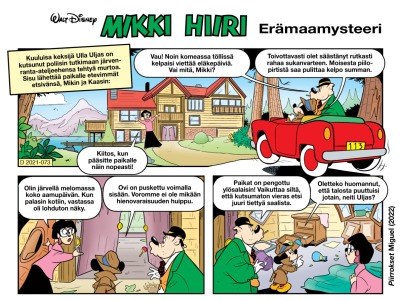 Erämaamysteeri