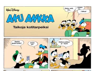 Taikoja kotitarpeiksi