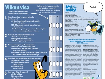 36540 Viikon visa