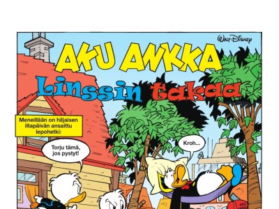Linssin takaa