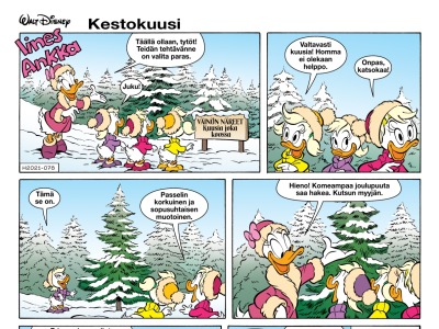 Kestokuusi