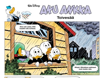 Toivesää