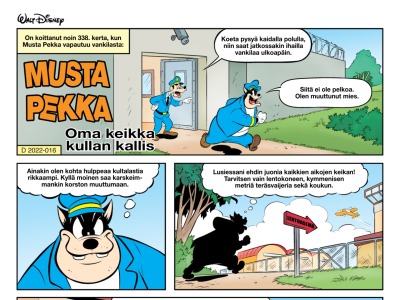 Oma keikka kullan kallis