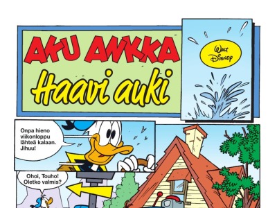 Haavi auki