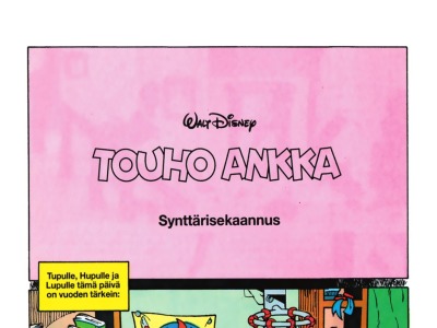 Synttärisekaannus