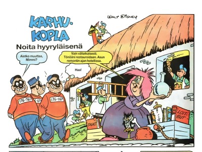 Noita hyyryläisenä