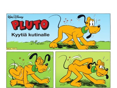 Kyytiä kutinalle