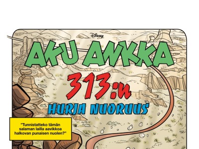 313:n hurja nuoruus