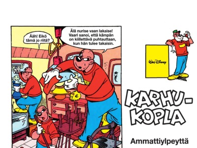 Ammattiylpeyttä
