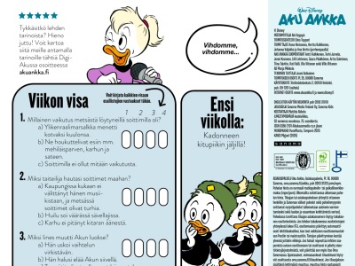 38146 Viikon visa