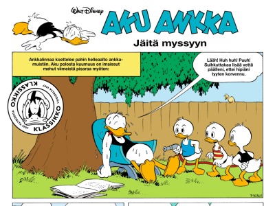 38228 Jäitä myssyyn