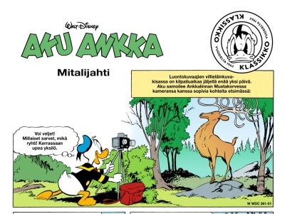 38258 Mitalijahti