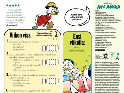 38293 Viikon visa