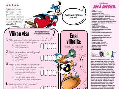 Viikon visa