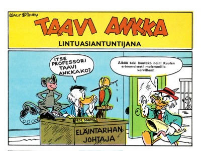 Taavi Ankka lintuasiantuntijana