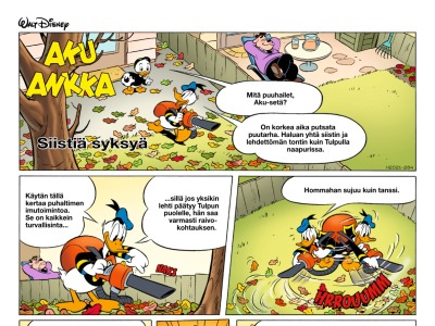 38555 Siistiä syksyä