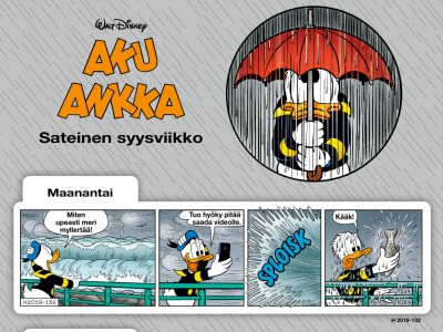 38559 Sateinen syysviikko