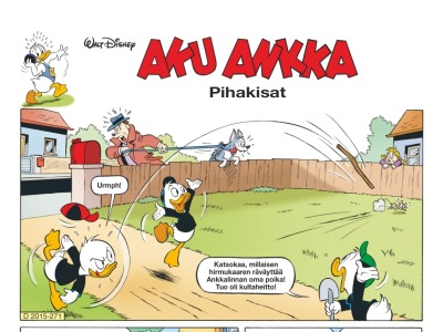 28671 Pihakisat