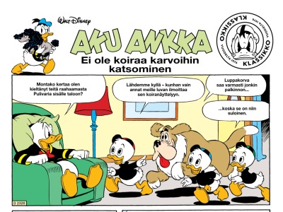 Ei ole koiraa karvoihin katsominen