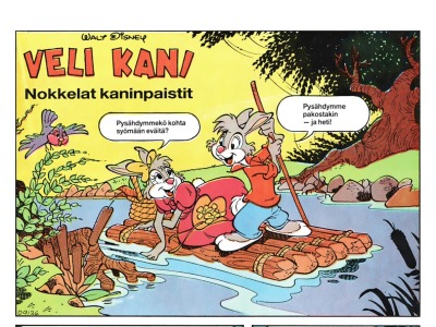 Nokkelat kaninpaistit