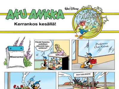 Kerrankos kesällä