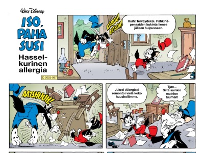 Hasselkurinen allergia