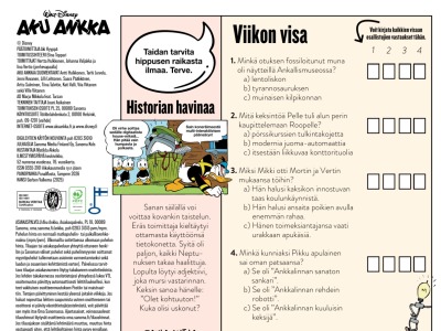 Viikon visa
