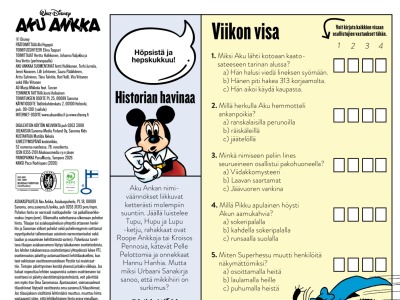 Viikon visa