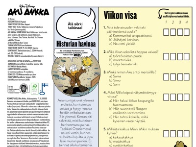 Viikon visa