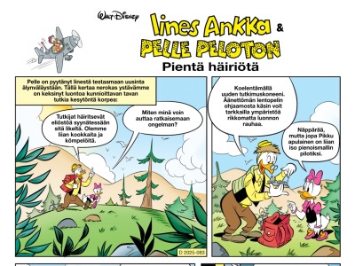Pientä häiriötä